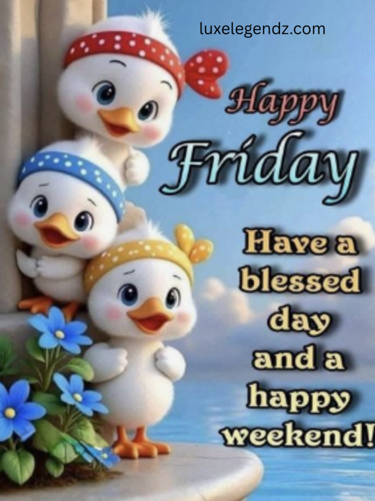 Quiet Friday Morning 