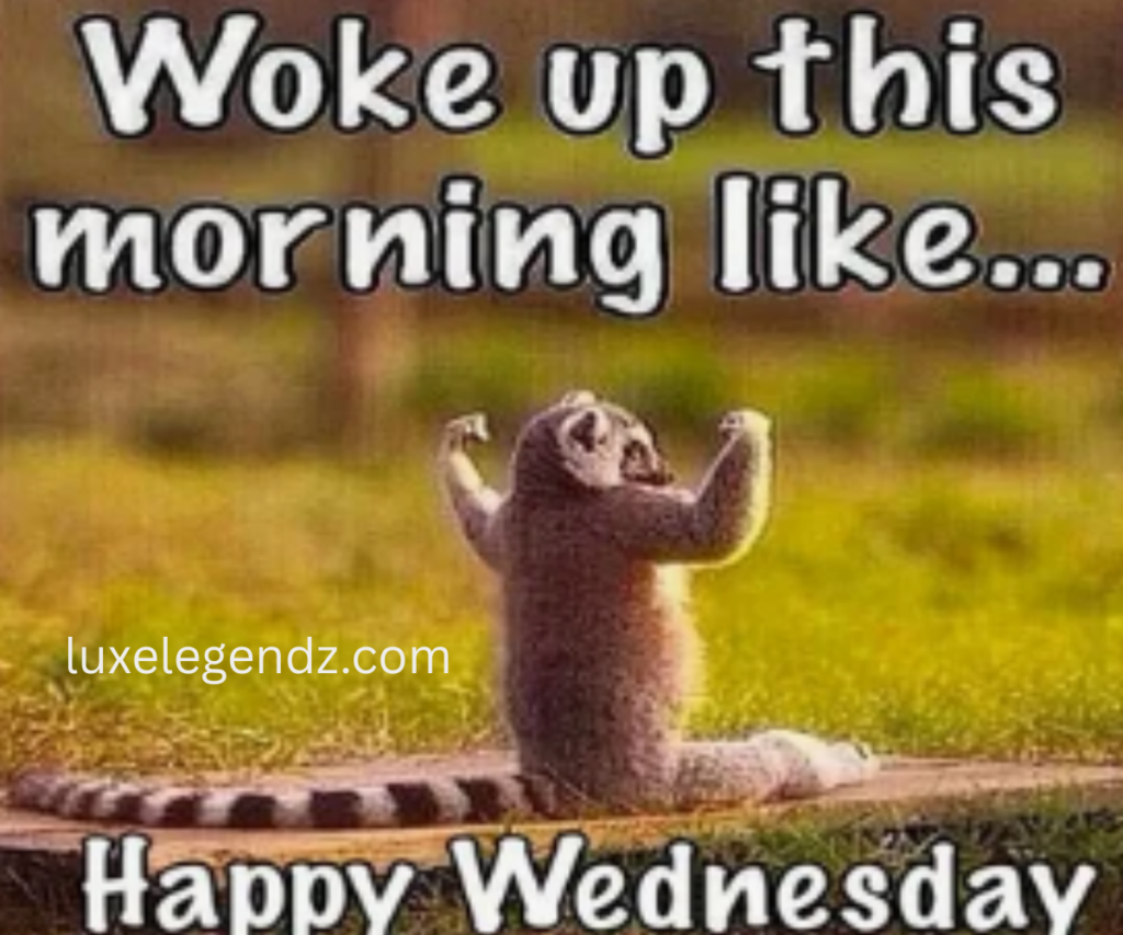 Positive and Funny Wednesday Quotes