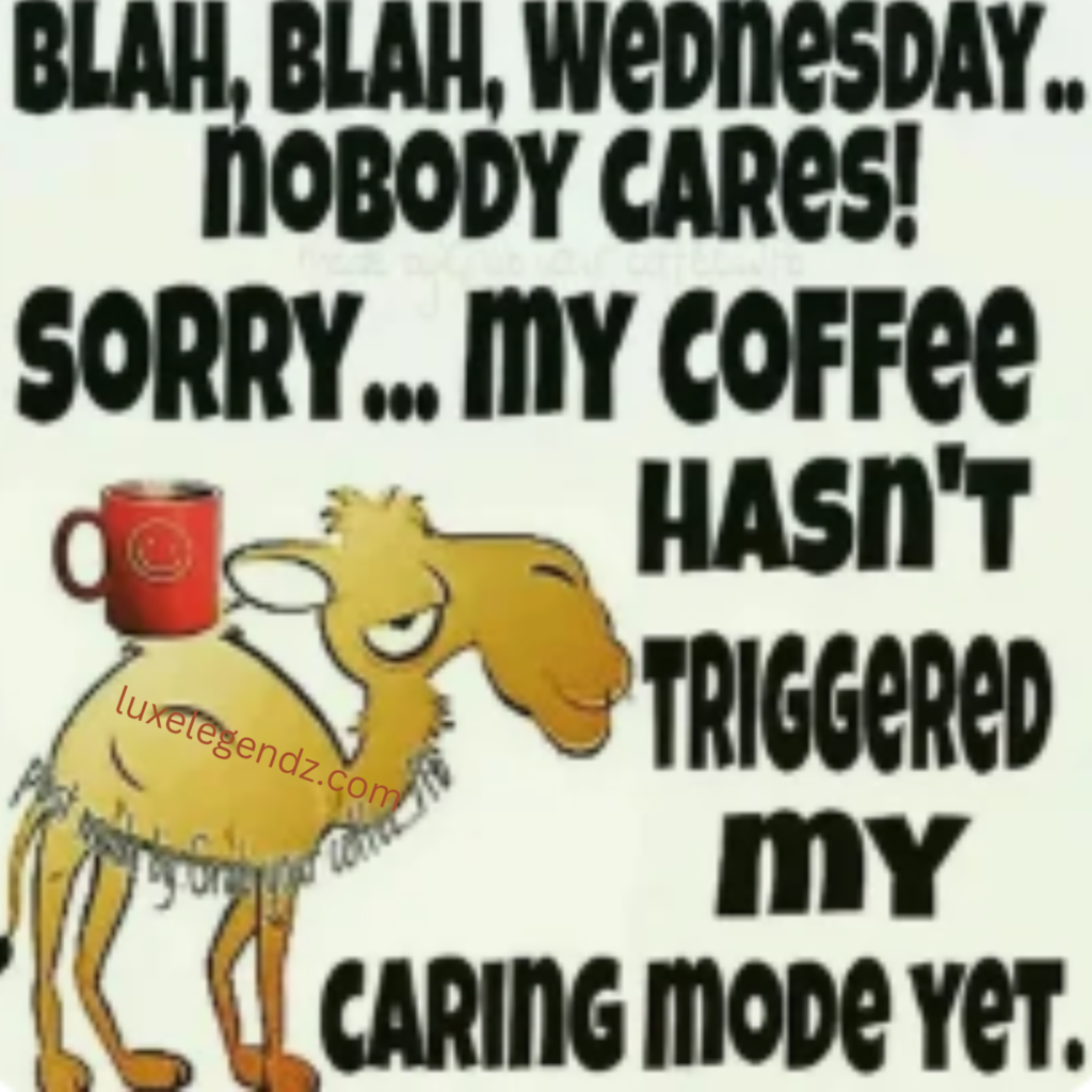 Shareable Short Wednesday Funny Quotes