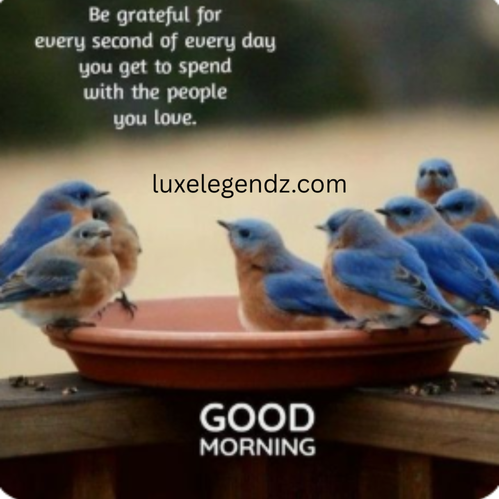 Wisdom Deep Meaningful Good Morning Life Quotes