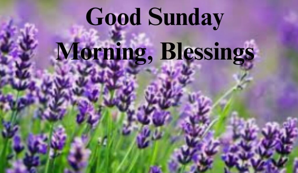 Good Sunday Morning, Blessings