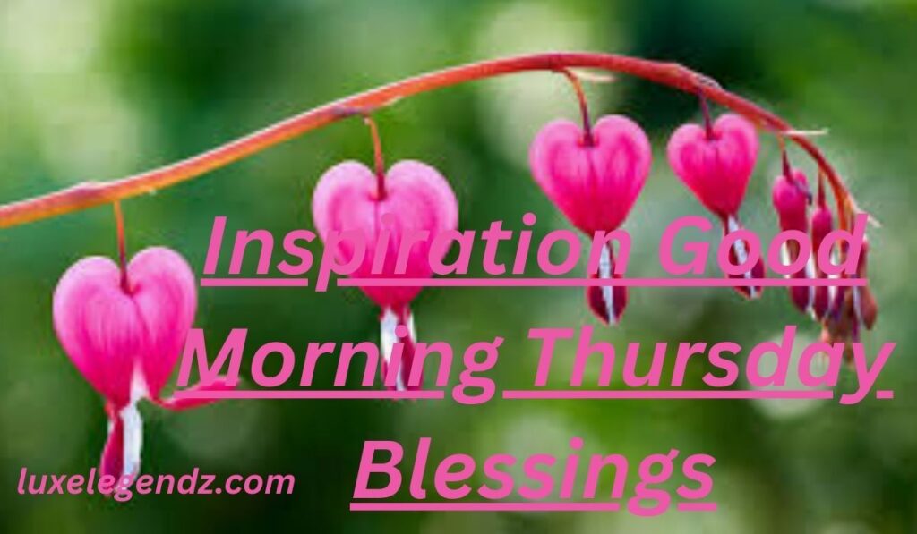 Inspiration Good Morning 