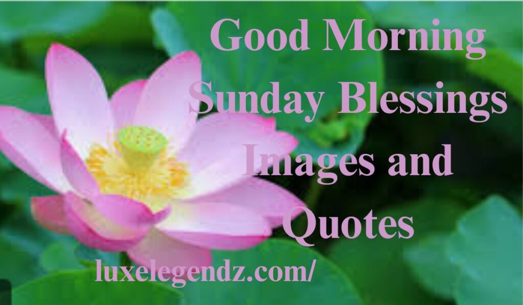Good Morning Sunday Blessings 