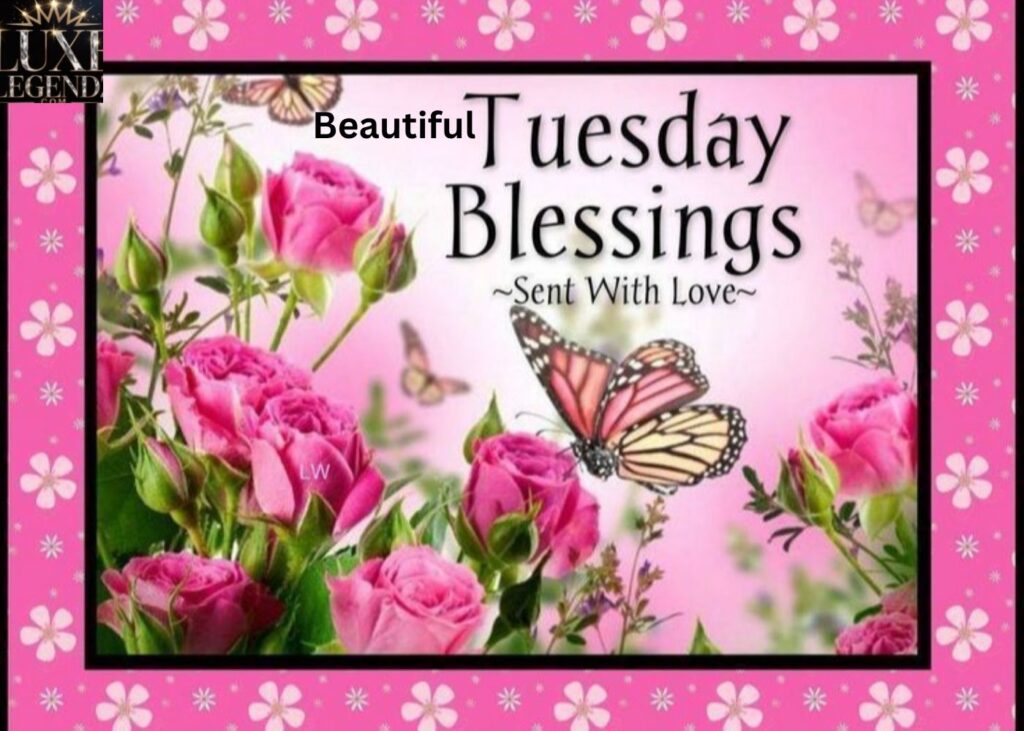 Beautiful Good Morning Tuesday Blessings