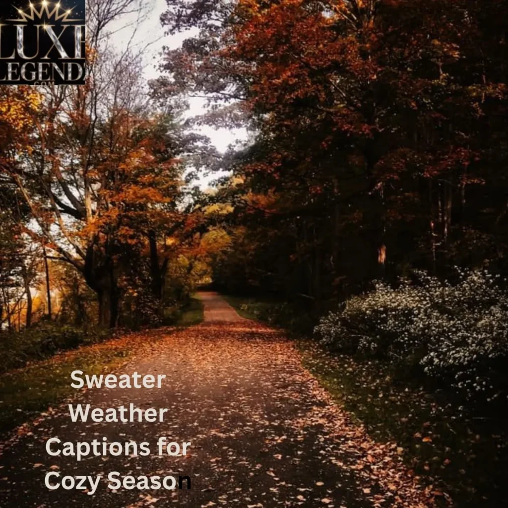 Sweater Weather Captions for Cozy Season