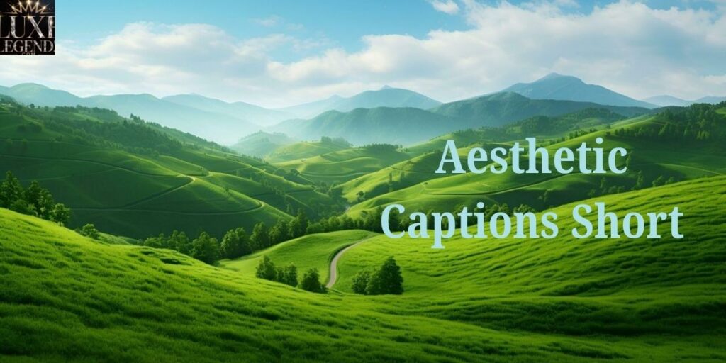 Cozy Fall Captions for Instagram and Autumn Aesthetics