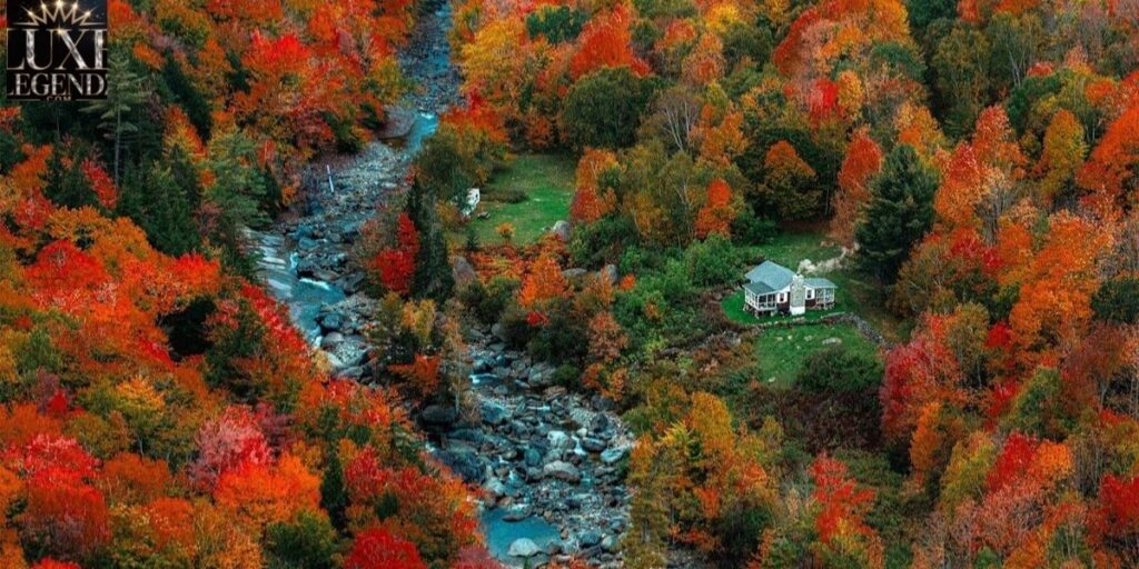 Cozy Fall Night Captions for Reels