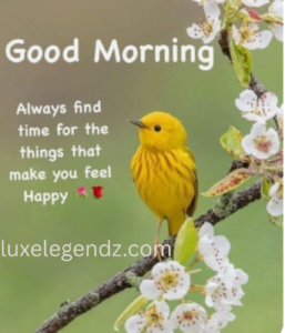 Positive Good Morning Tuesday Blessings