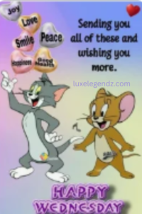 Funny Wednesday Quotes