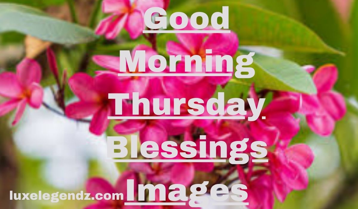 225+ Good Morning Thursday Blessings Prayers and Quotes 2026