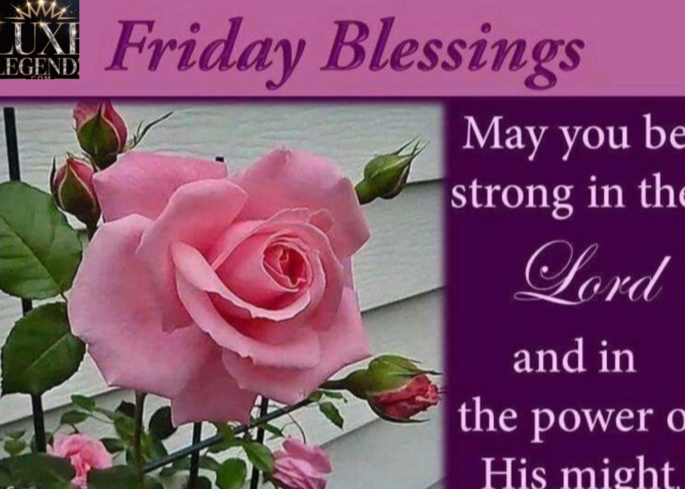 Happy Friday Blessings