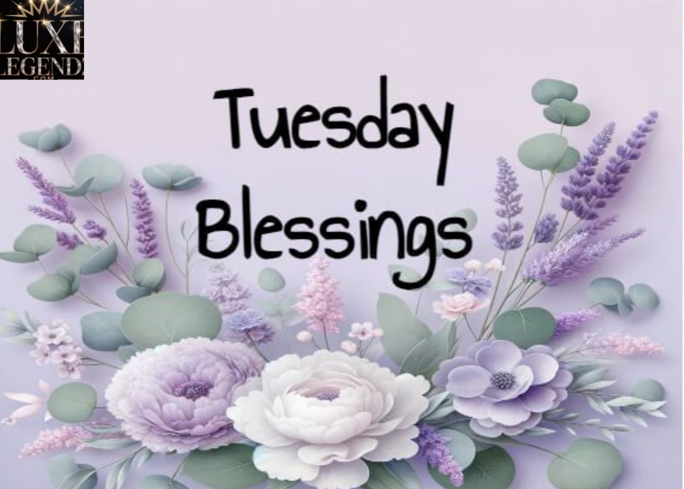 Good Morning Tuesday Blessings,