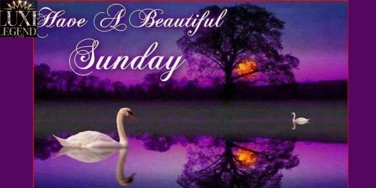 Beautiful Peaceful Sunday Evening Blessings and Good Night Wishes